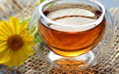 Tisane pour stimuler l’immunité