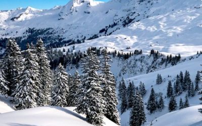 Alimentation sur les pistes de ski