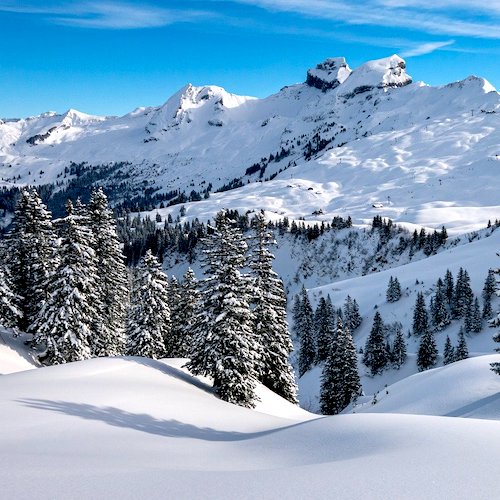 Alimentation sur les pistes de ski