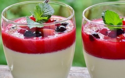 Panna cotta Terre du Sud sans lactose