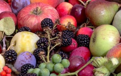 Alimentation détox d’Automne