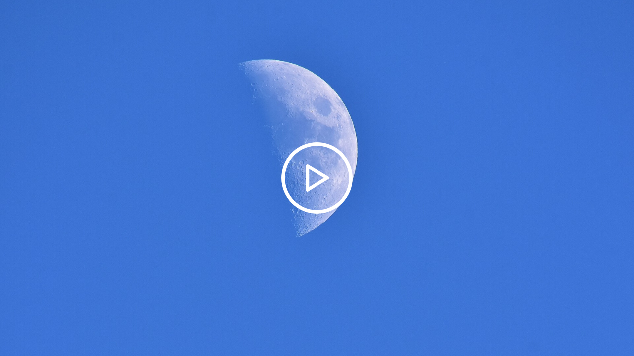 Vidéo : Le cyan dans la nature