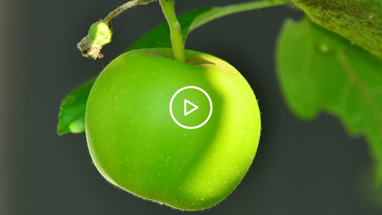 Vidéo : Le vert dans la nature