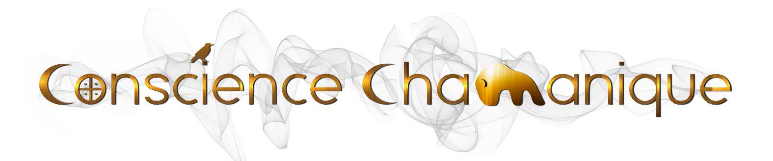 logo CC moyen PNG(1)
