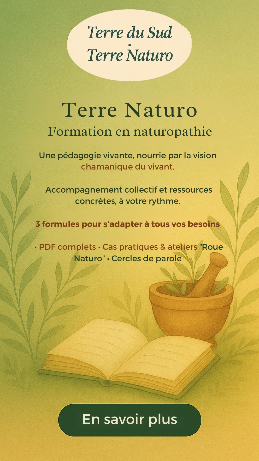 Formation Naturopathie en ligne - Terre du Sud