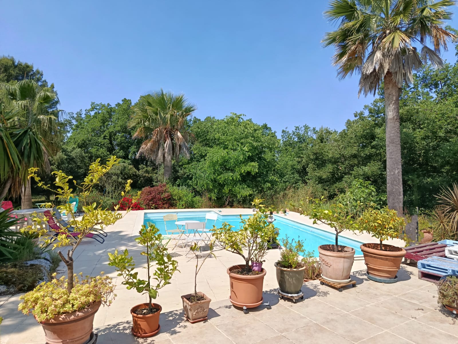 Piscine et jardin Terre du Sud