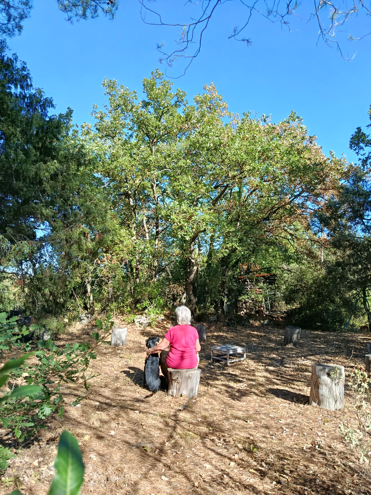 Jardin méditerranéen